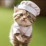 zee_abdul profil fotoğrafı