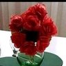 الحوت's profile picture
