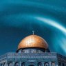 ᴀʙᴅᴜʟᴀᴢɪᴢ sᴀʟɪᴍ 🇵🇸 的头像