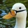 Silva's profile picture