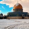Фото профиля عسل