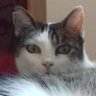 cristina's profile picture
