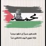 Mo_ha_med_3li's profile picture