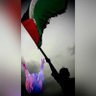 Aya Magdi 🇵🇸🌻 Y👀Y 🌻🇪🇬's profile picture