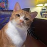帅小鬼 profil fotoğrafı