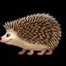 hoggy's profile picture