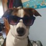 victor's profile picture