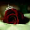 غادة ياسر's profile picture