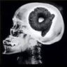 shit4brain profil fotoğrafı