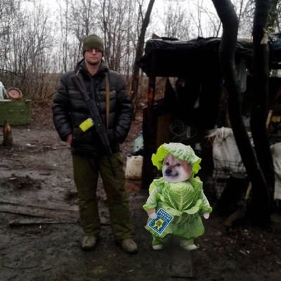 Mykhailo Rohoza's profile picture