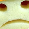 Biological Bot's profile picture