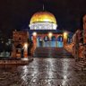 Фото профиля Mohamed kanzoo