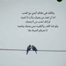 Фото профиля Lawrence