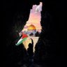 Ziad Maحmoud(..🇵🇸's profile picture