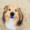 Timmy Sq 的头像
