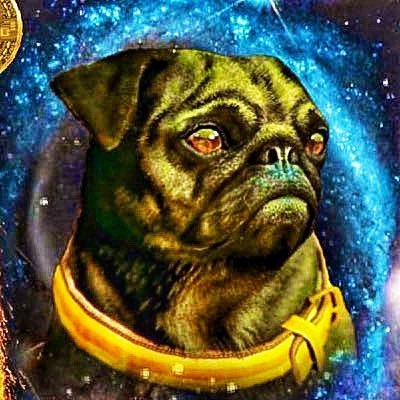 TDogewhisperer's profile picture