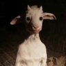hudavendigar profil fotoğrafı