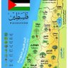 إبن مصر والقلب فداك يافلسطين🇪🇬🇵🇸's profile picture