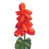 Oscar Mars's profile picture