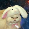 Ghee's profile picture