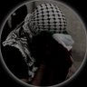 هـيْثَمم|🇵🇸 的头像