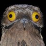 David's profile picture