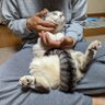 Profilbild von エレファント・カシユキ