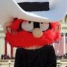 Profilbild von TeeBall