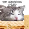 xuanrrrl's profile picture