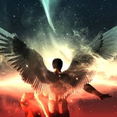 Codester1389's profile picture