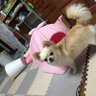 かなやかなや's profile picture