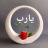 khursheed profil fotoğrafı