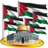 مغربي وقضية القدس قضيتي 的头像