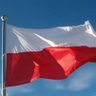 Michał Stefański's profile picture