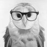 The4EyedOwl profil fotoğrafı