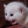 Profilbild von won