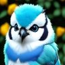 Aman profil fotoğrafı
