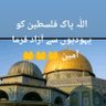 Profilbild von Muhammad Jamil