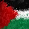 Brahim Ben ramdan's profile picture