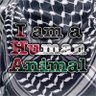 Sani Meo's profile picture