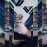 Harley to Mars's profile picture