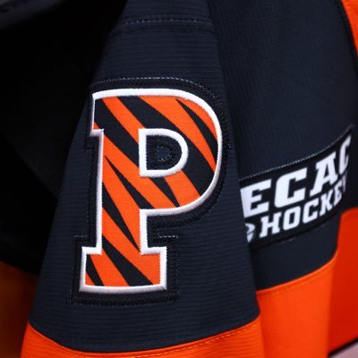 Princeton Men's Ice Hockey's profile picture