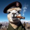 东风飘移到您的家 profil fotoğrafı