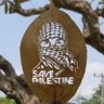 Profilbild von 🇲🇨Muh_Yasin 🇵🇸