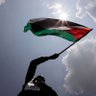ジョン・ドウ 🇵🇸🇸🇩😤's profile picture