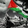 Hussam Al Ismaili's profile picture