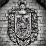 Фото профиля NoeTineco