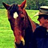 Cavalier Jack's profile picture