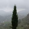 Фото профиля salem alhogbi