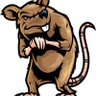 Profilbild von Rat Man